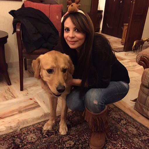 WowPaw for animal care